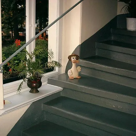 Гостевой дом Hotel-pension Koenigswald Дрезден