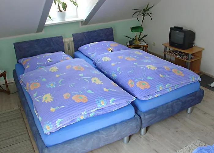 Гостевой дом Hotel-pension Koenigswald 4*