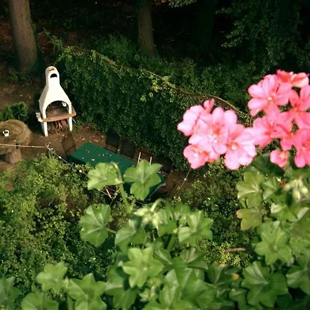 库宁格斯瓦德潘森酒店 德累斯顿