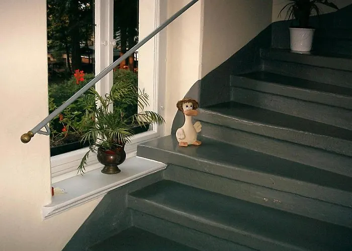 Guest house Hotel-pension Koenigswald Dresden