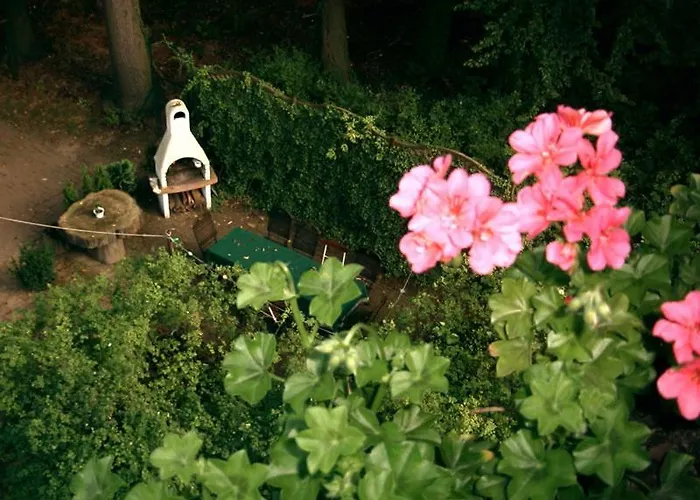 Hotel-pension Koenigswald Dresden